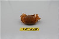 藏品(中華沙蟹)的圖片